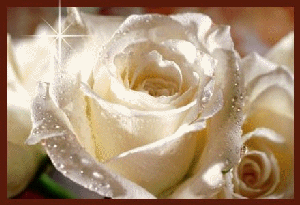 sticker_23258085_40721117