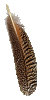 sticker_14620294_27070778