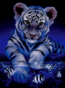sticker_20328914_29051300