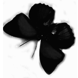 sticker_5218436_10730997