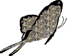 sticker_6227967_34180440