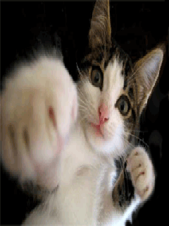 sticker_21156369_29616873