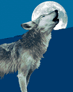 sticker_18813391_29185357