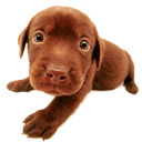 sticker_25974997_40567938
