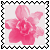 sticker_15619627_25373328