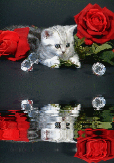 sticker_14627485_38512358