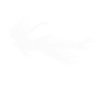 sticker_10041704_23745882
