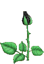 sticker_18193927_37258573