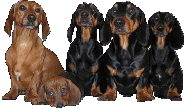 sticker_25177357_40683607