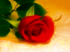 sticker_21224003_35386665