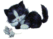 sticker_28068535_40503046