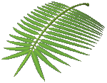 sticker_2642376_7018400