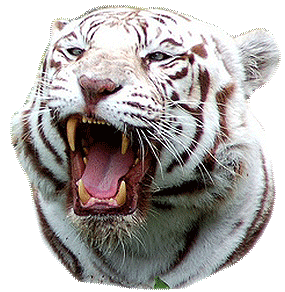 sticker_6671682_18802573