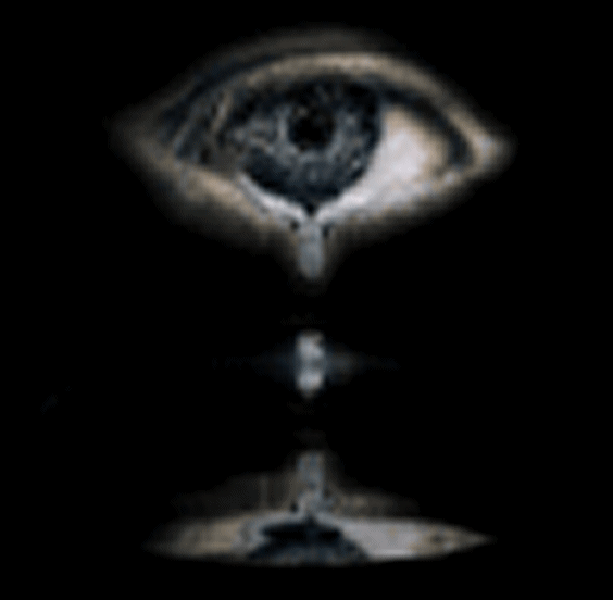 sticker_12072358_21645068