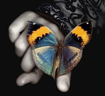 sticker_15601667_35688024