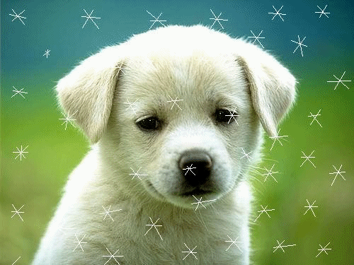 sticker_24529643_34904315