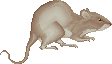 sticker_9571884_41152150