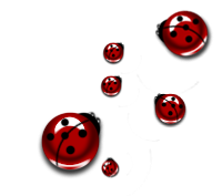 sticker_5085222_29681884