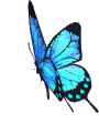 sticker_11641448_19647768