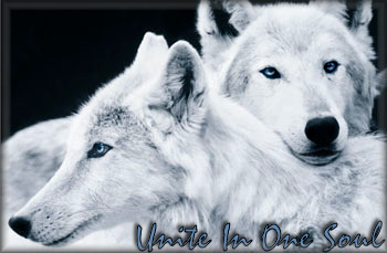 sticker_92701_13297346