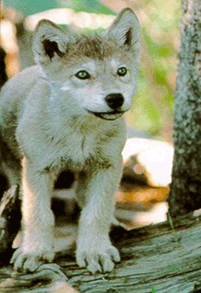 sticker_24026297_38596782