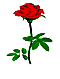 sticker_23552208_35034319