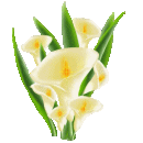 sticker_29940_64279