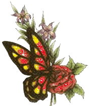 sticker_17324506_35064147