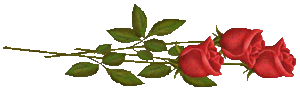 sticker_18824109_34525525