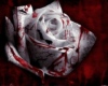 sticker_28448493_39496357