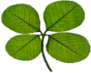 sticker_18828558_30770307
