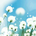 sticker_7243111_37631142