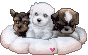 sticker_22991577_39009798
