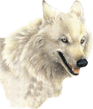 sticker_21555214_40735541