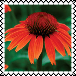 sticker_7598038_37598238