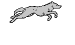 sticker_20021762_31253245