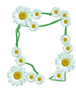 sticker_22535196_33608821