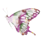 sticker_19649713_39435775