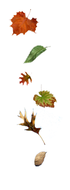 sticker_15713746_41134202