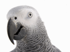 sticker_13544537_32425335