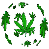 sticker_6454948_8004685