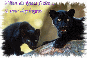sticker_10039909_23404383