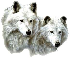 sticker_20021762_31705712