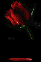 sticker_7470299_9427901