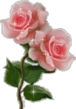 sticker_5472863_11921874