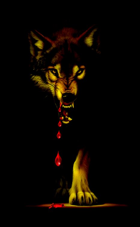 sticker_15296169_24703958