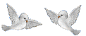 sticker_771754_3105128
