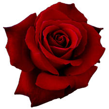 sticker_27096480_40409733