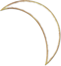 sticker_14562054_40559402