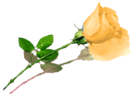 sticker_1558577_1962941